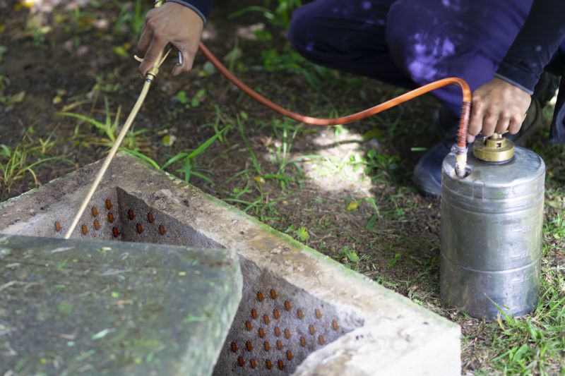 Spider Fumigation Service in Franklin, TN