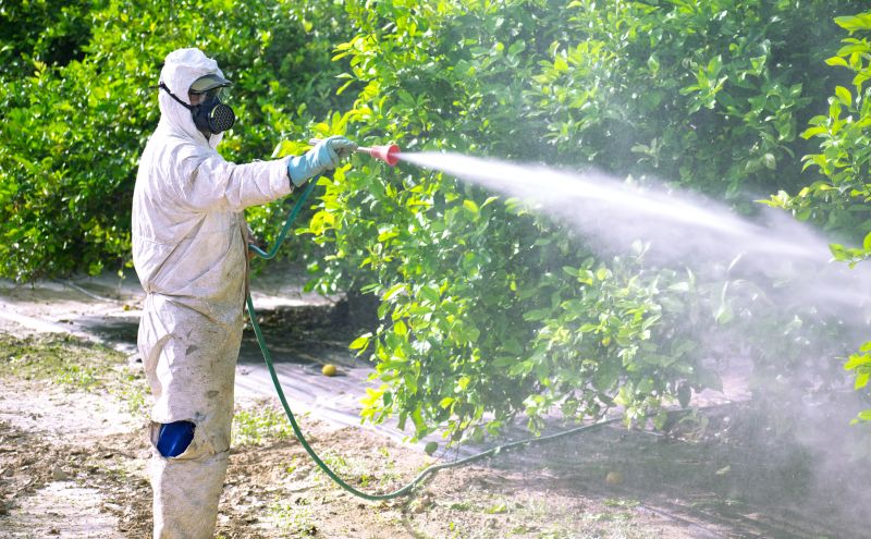Pest Fumigation Service in Davis County, UT